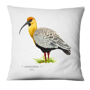 Funda cojín Bandurria