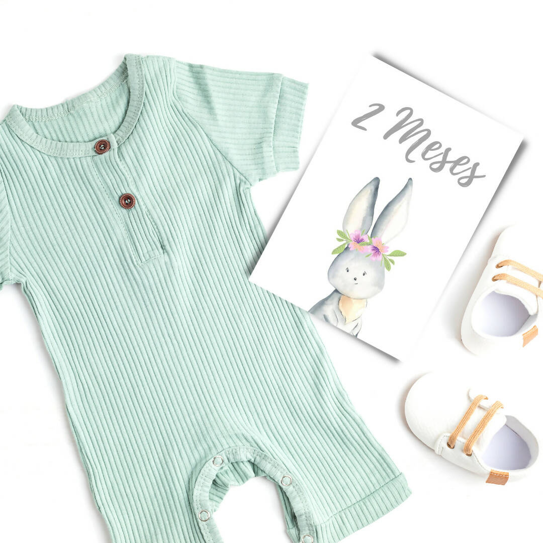 Tarjetas Meses Bebé "Animali Flori"