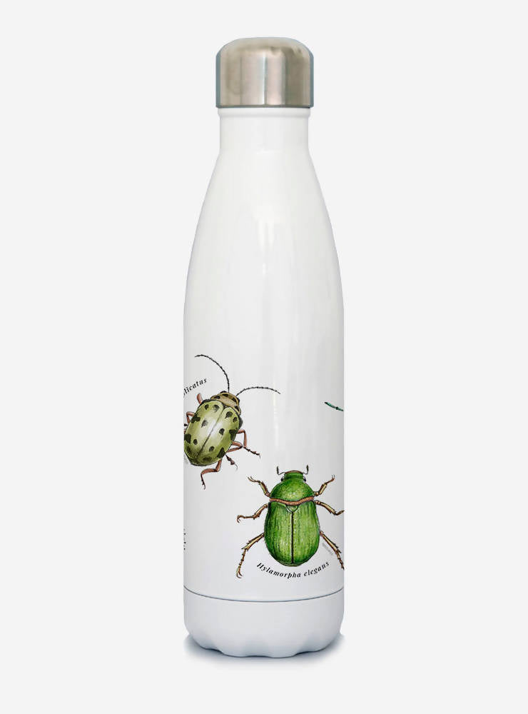 Botella térmica insectos