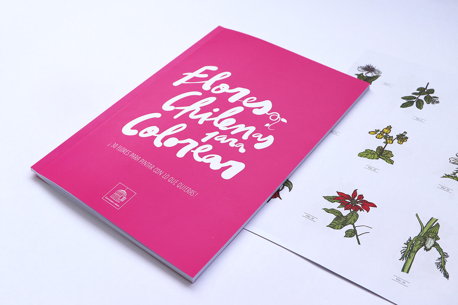 Libro Flores chilenas para colorear