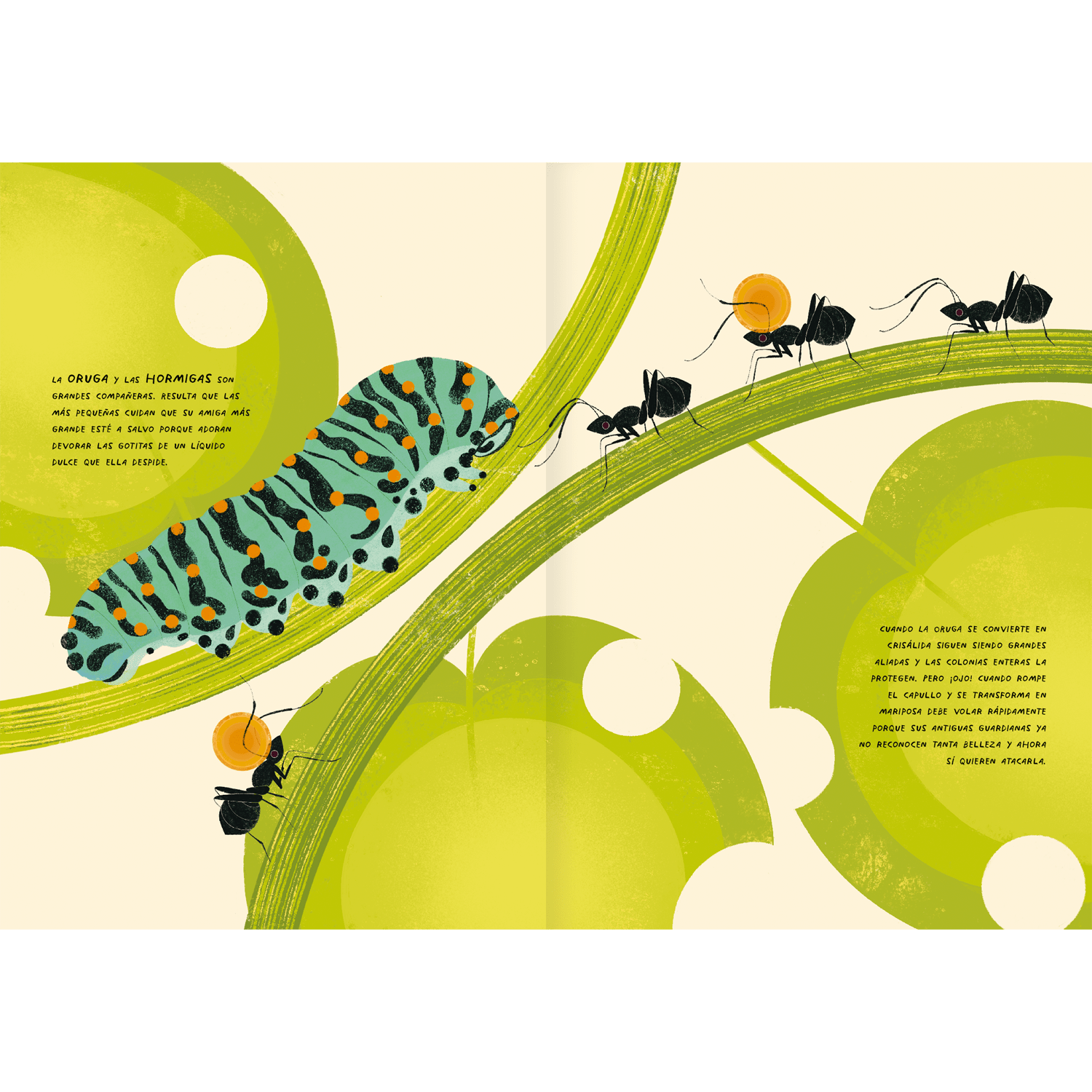 Grandes amigos por naturaleza