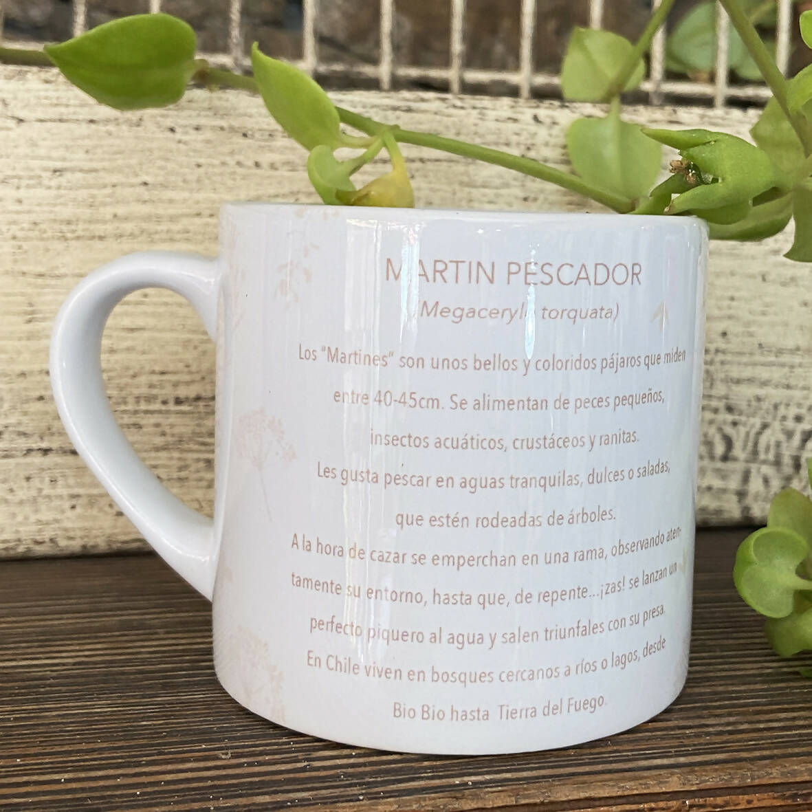 Taza de café 150cc pájaros chilenos, Martín Pescador