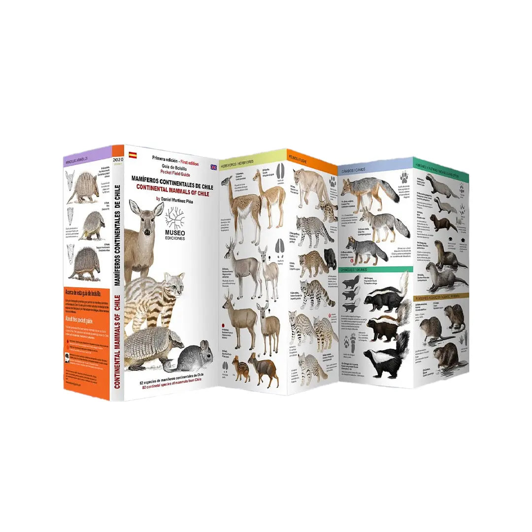 guia-mamiferos-chile-naukewe_1024x1024_2x_58462d28-c4d5-460b-8be4-daae4a4d845e.webp