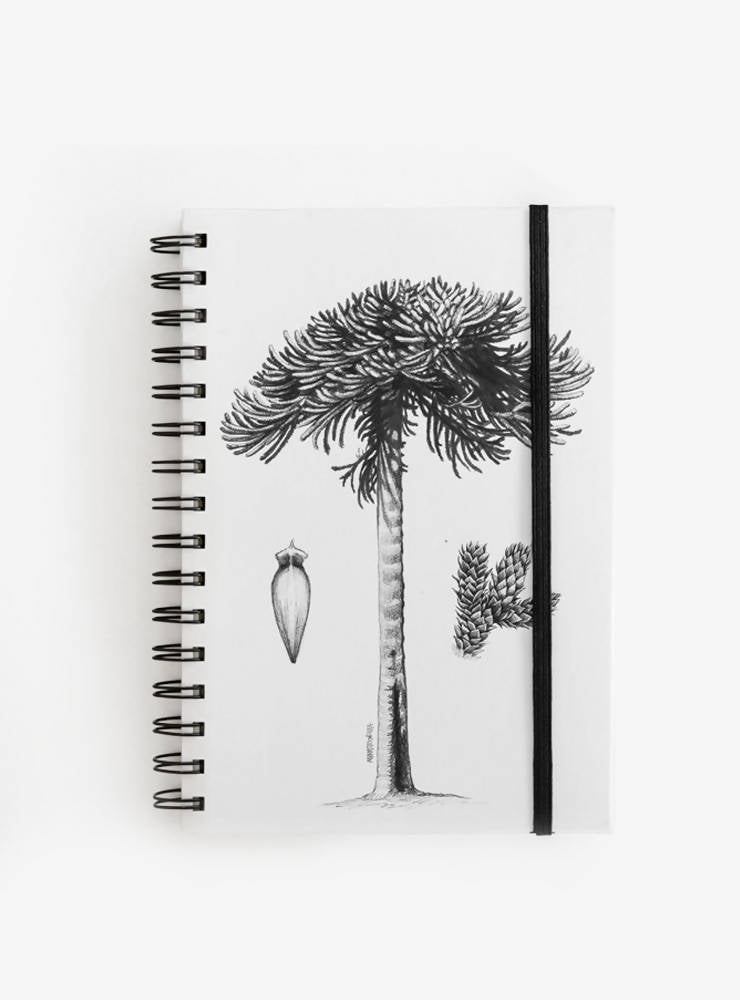 Cuaderno Araucaria