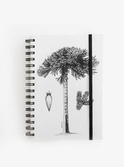 Cuaderno Araucaria