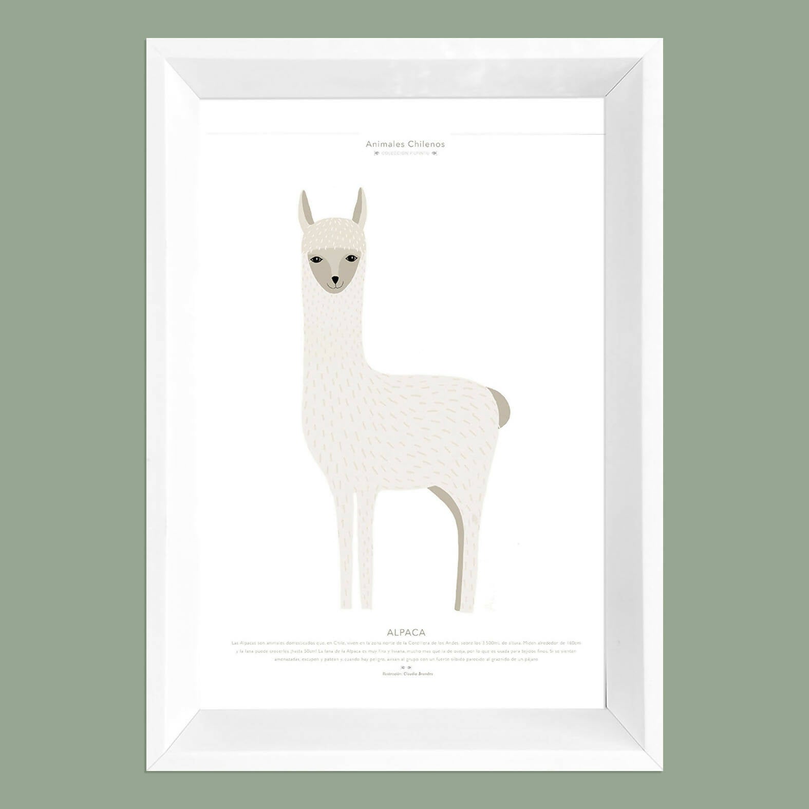 Cuadro ALPACA, colección Fauna Chilena, 20x30cm