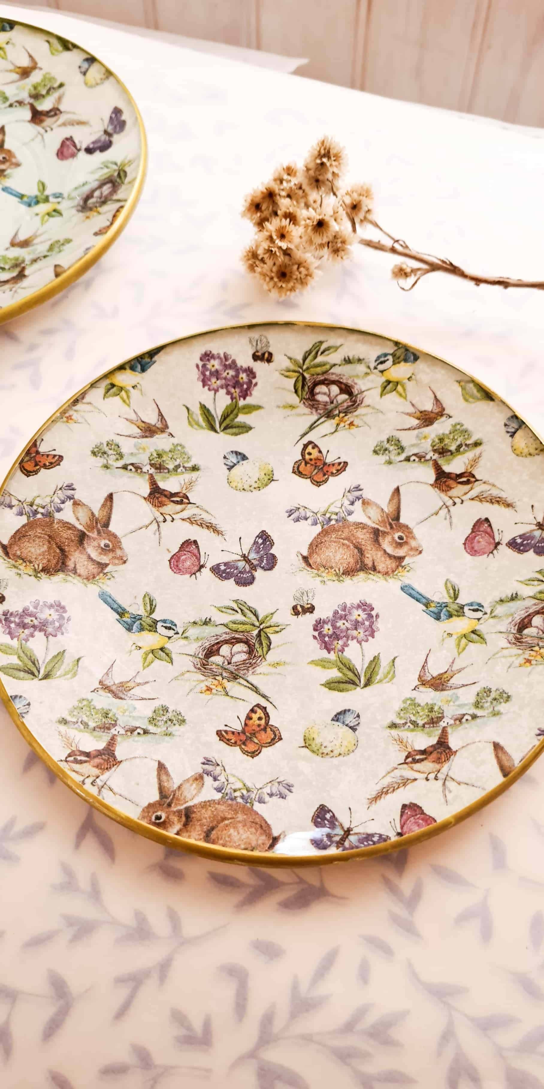 Plato Pan redondo, fiesta de conejitos