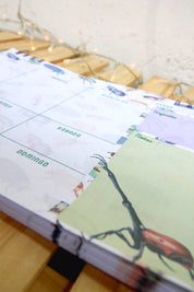 Planer Semanal - Loco x por los escrabajos