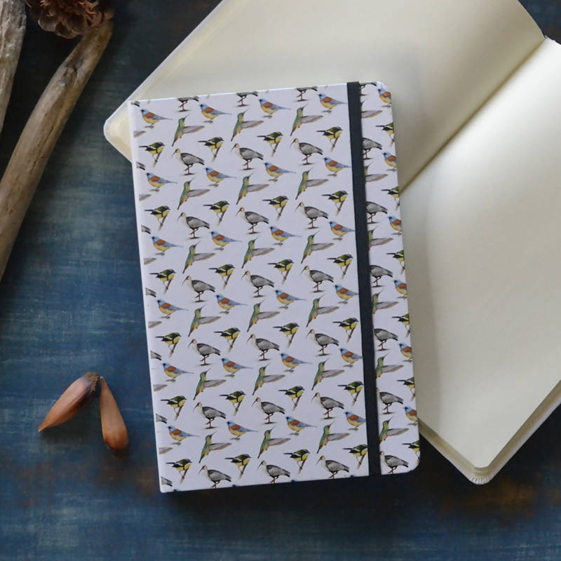 Libreta Bandurria, Picaflor, Siete col. y Cometocino pat.