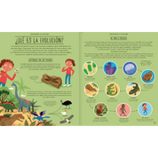 Increíble evolución