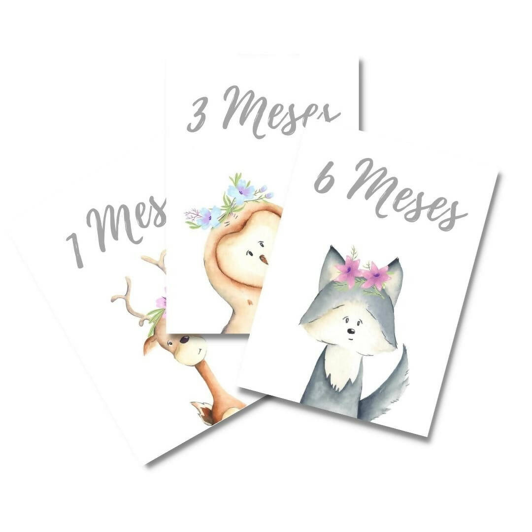 Tarjetas Meses Bebé "Animali Flori"