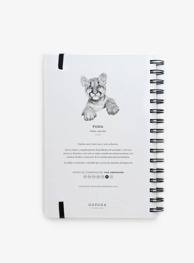 Cuaderno Puma Cachorro