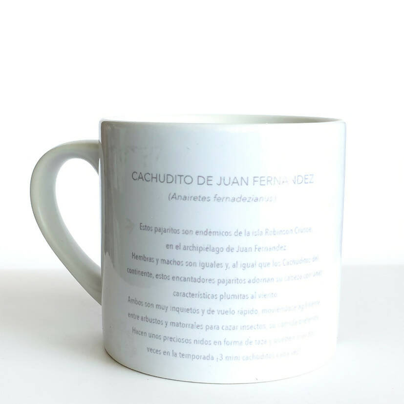 post taza de café cachudito 2