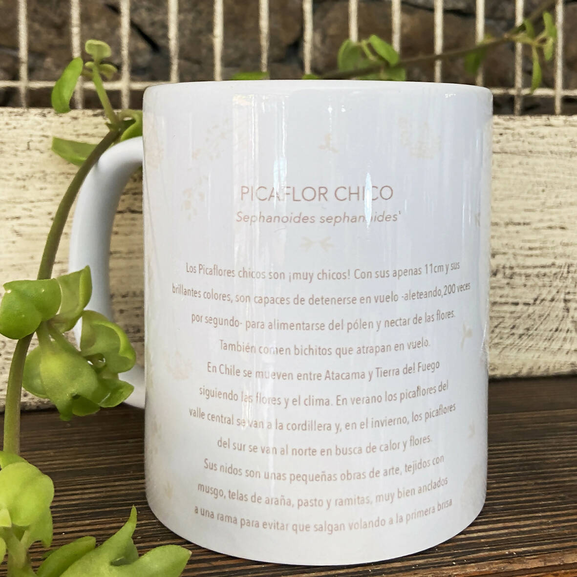 Tazón Picaflor, pajaritos chilenos