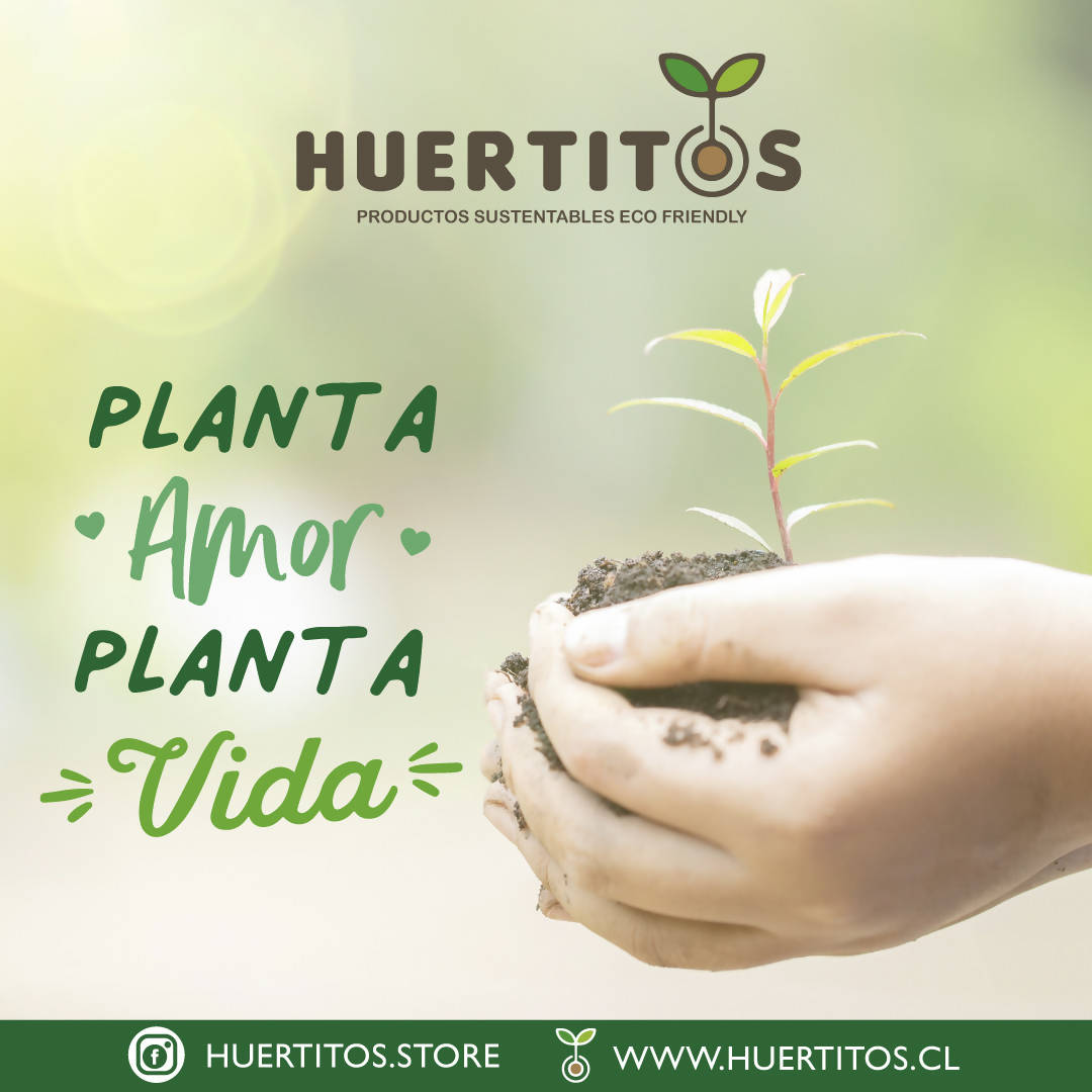 Kit de cultivo Ensalada de Hojas (Leaf Salad GROW KIT)