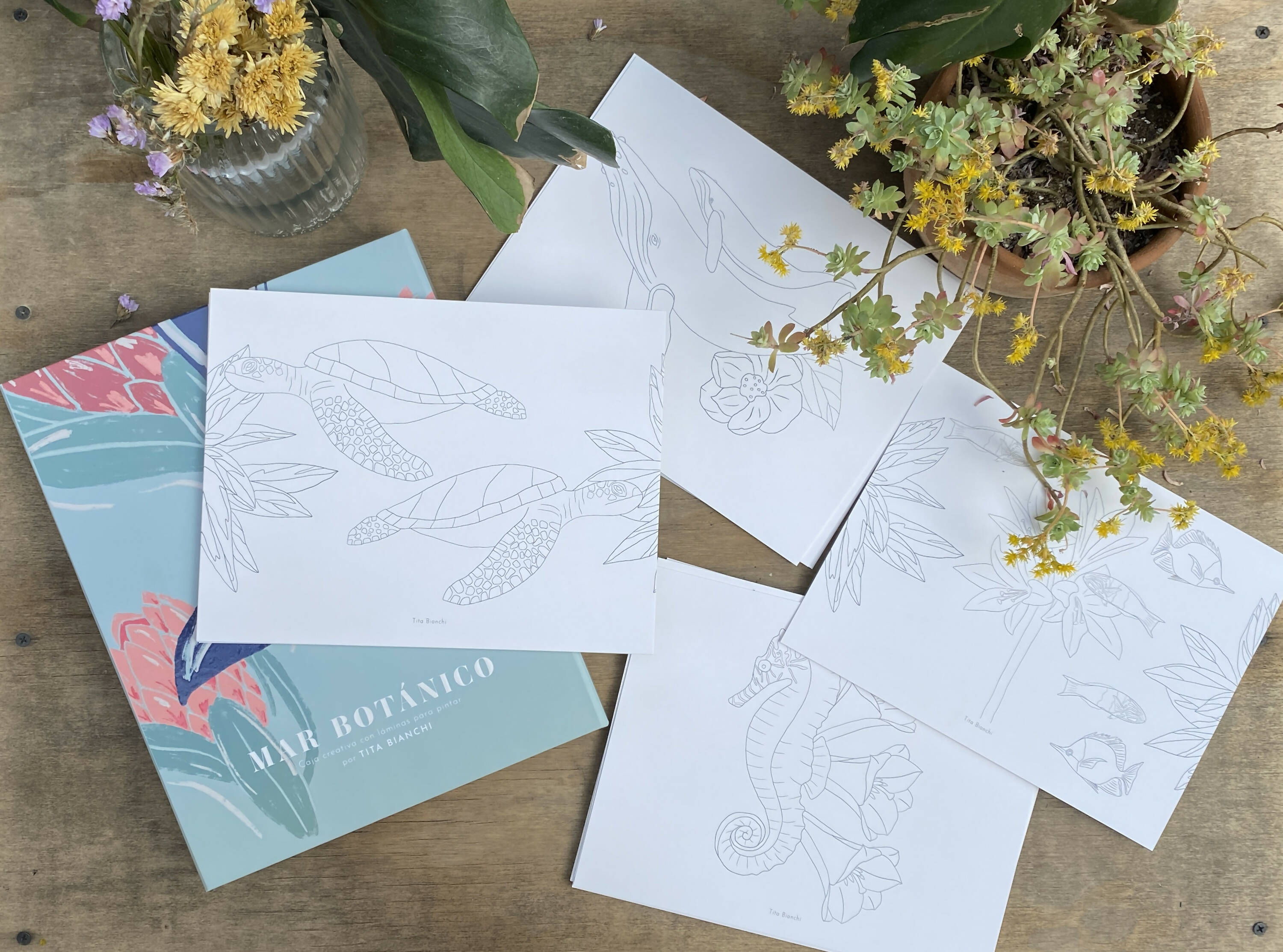 Caja Mar Botánico con 44 láminas para colorear