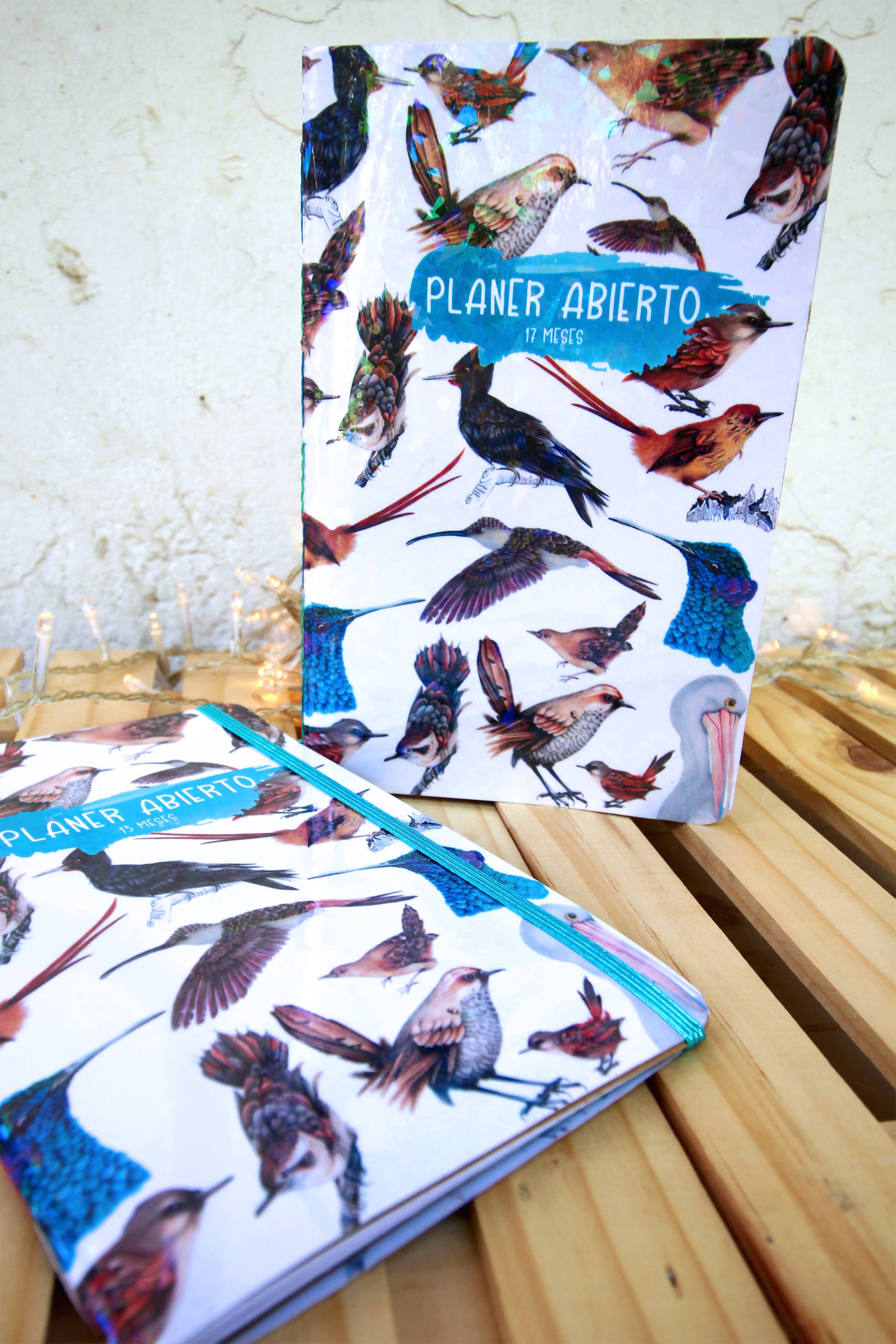 Planer tipo cuaderno: Aves de Chile