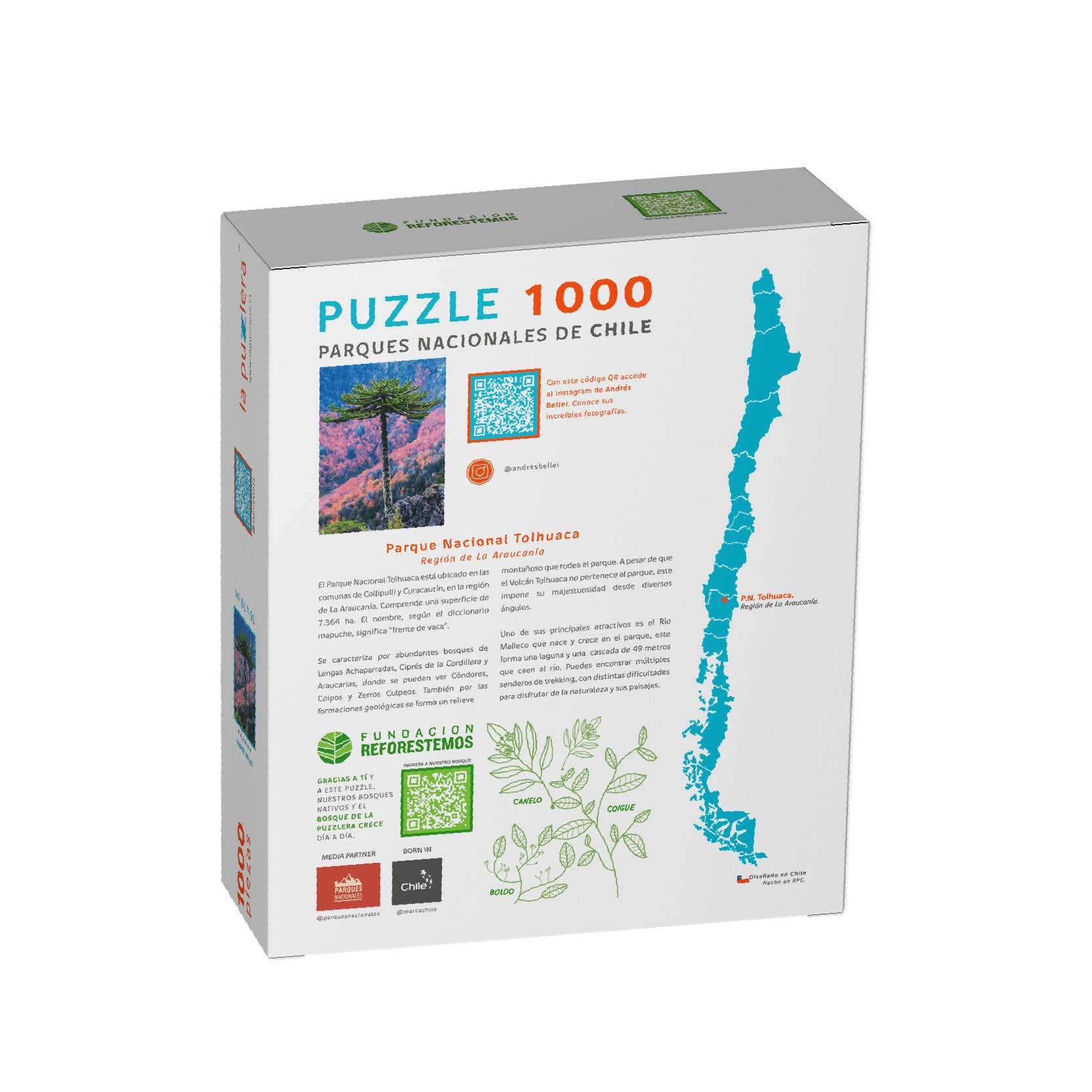 Puzzle Parque Nacional Tolhuaca 1000 Piezas