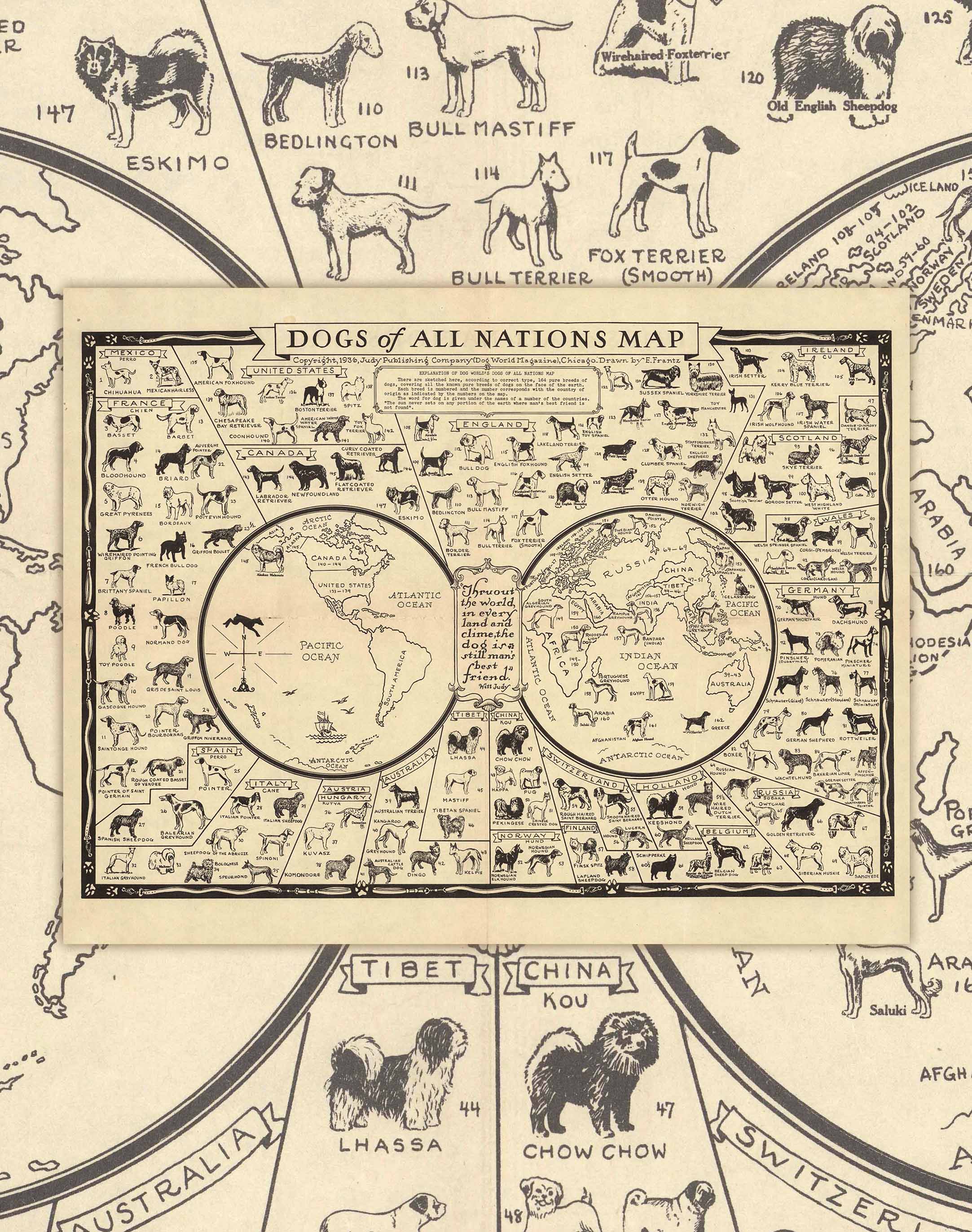 Mapa Antiguo de Perros del Mundo - Lámina