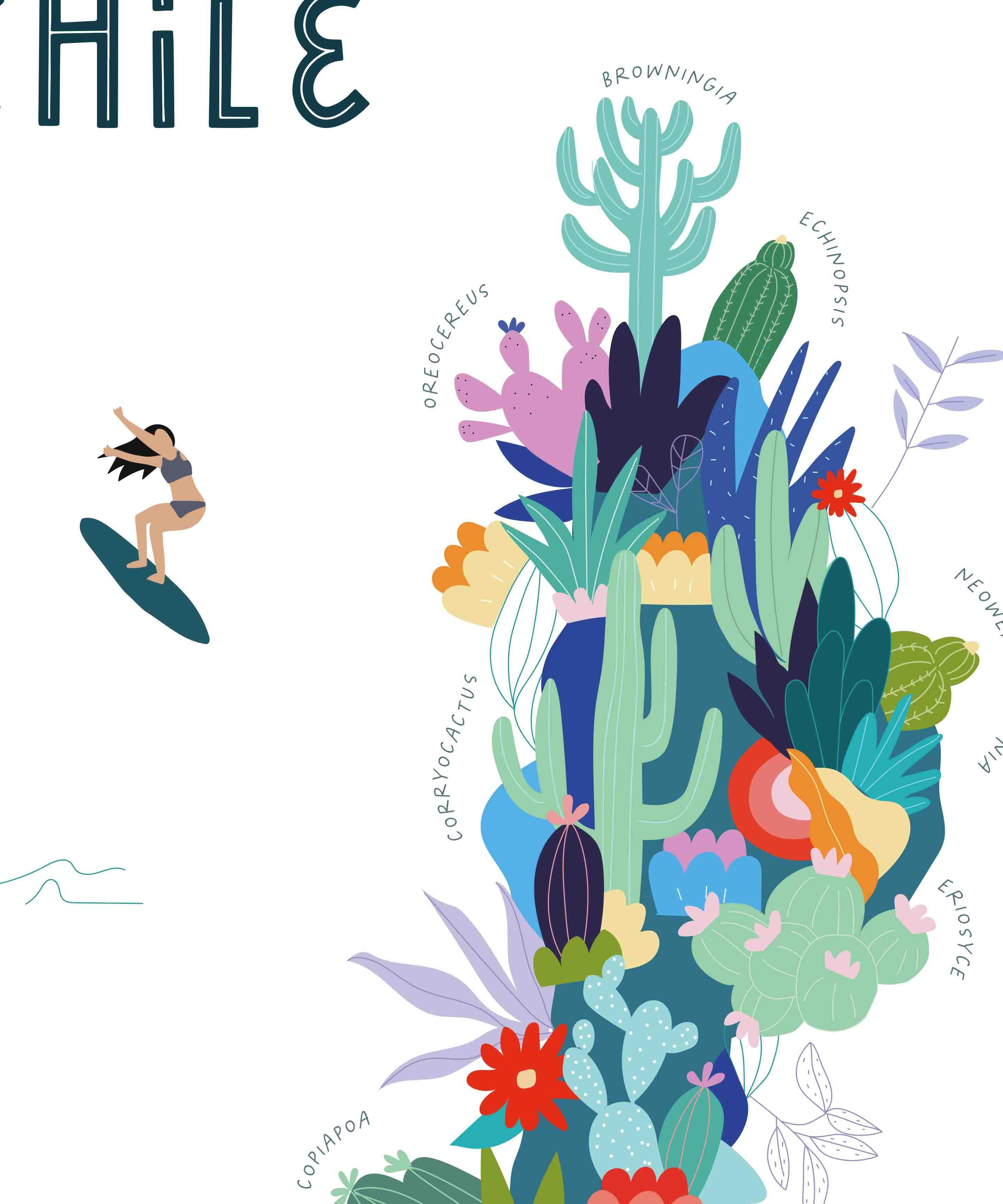 Mapa de Cactus y Suculentas de Chile - Lámina - Mappin