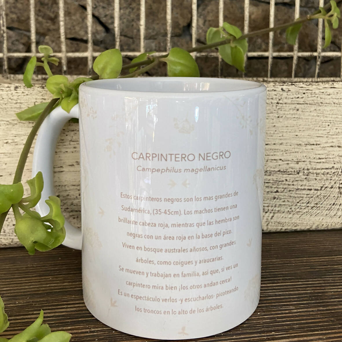 Tazón Carpintero, pajaritos chilenos