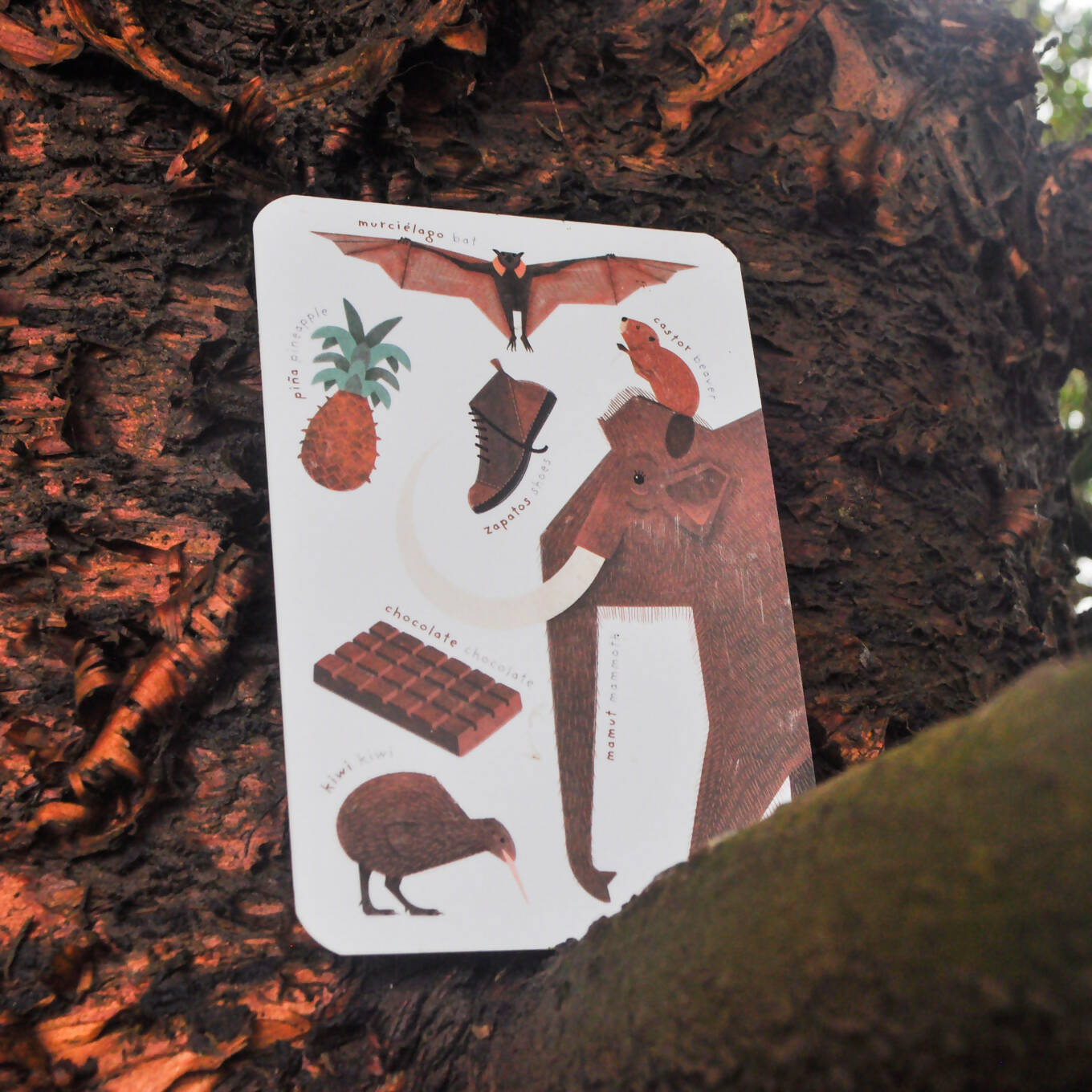 Set colores y formas