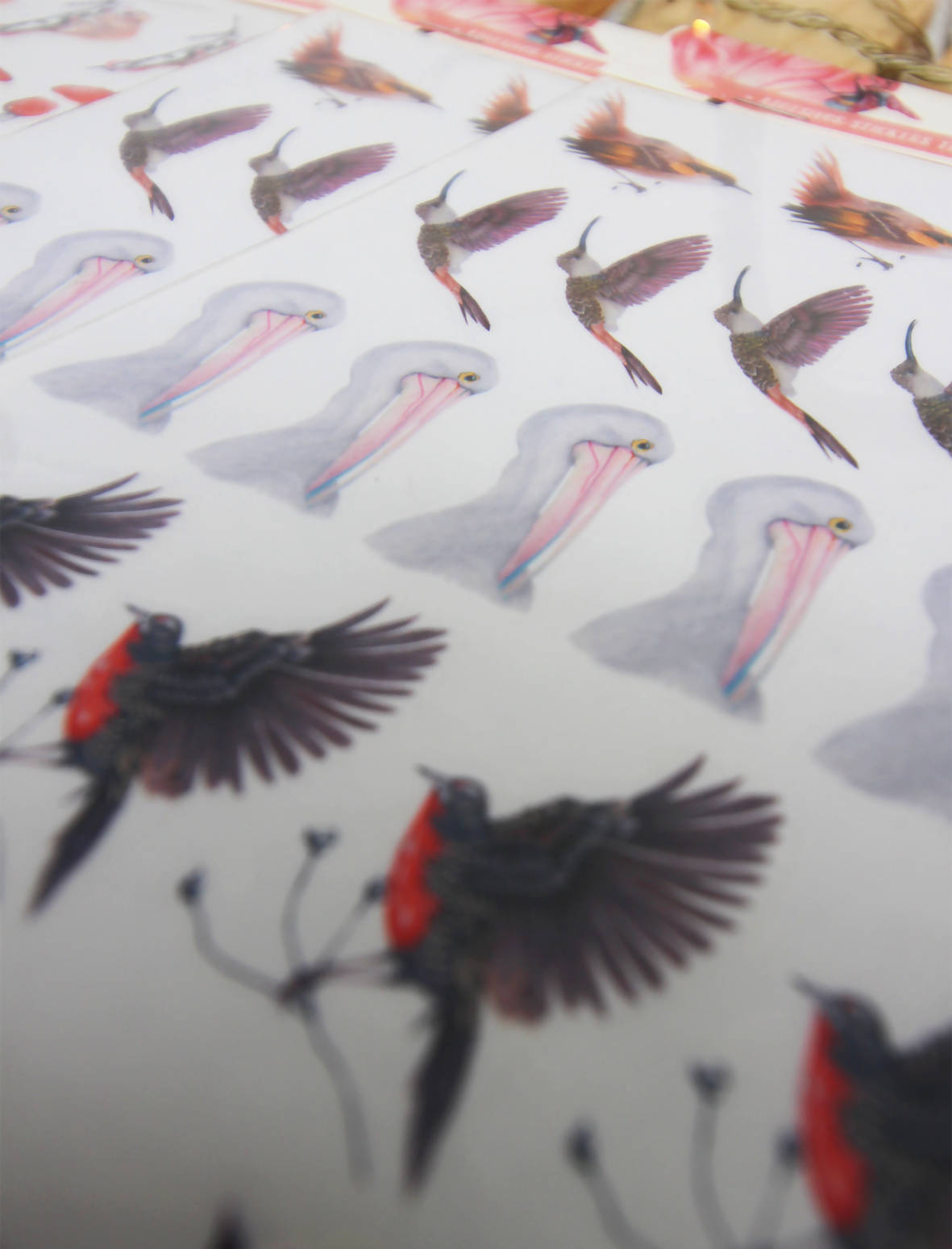 Set de stickers translúcidos troquelados (4 hojas)