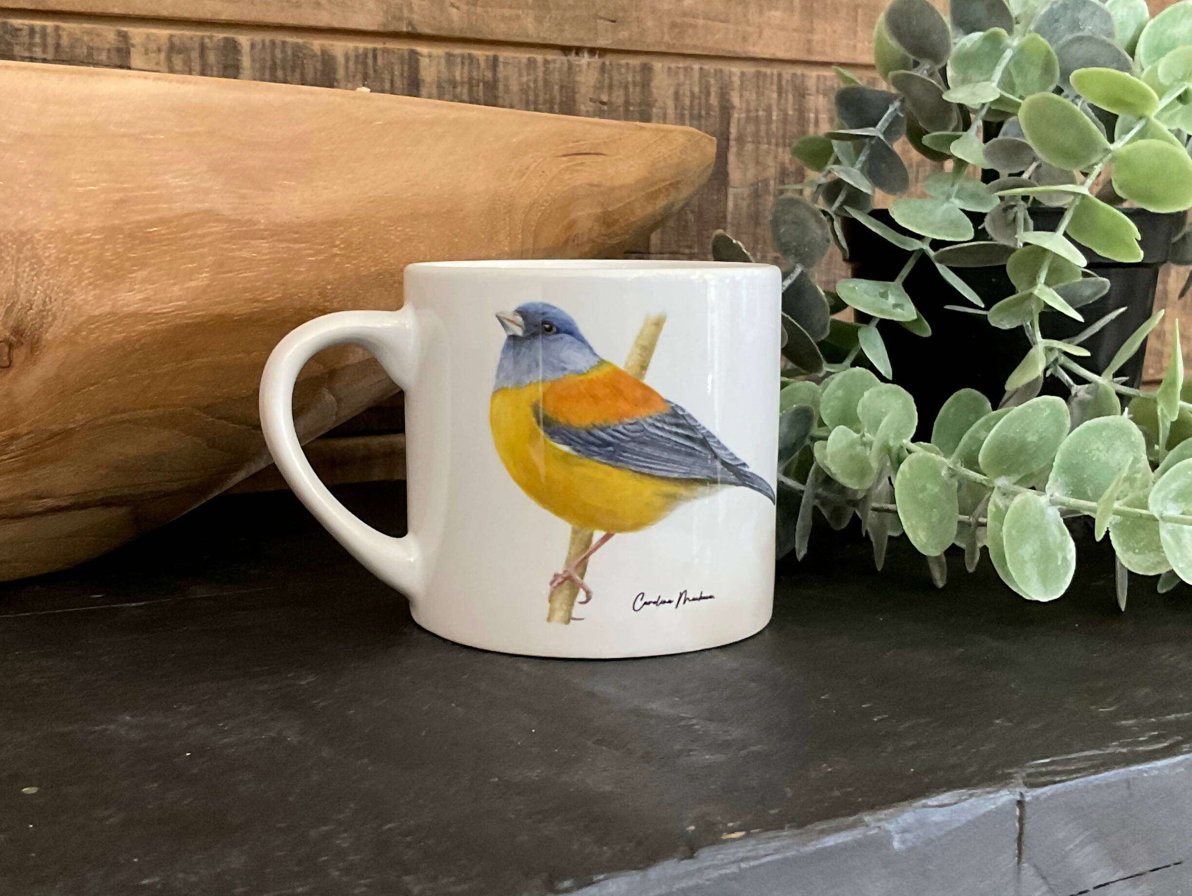 TAZA CAFÉ COMETOCINO PATAGONICO