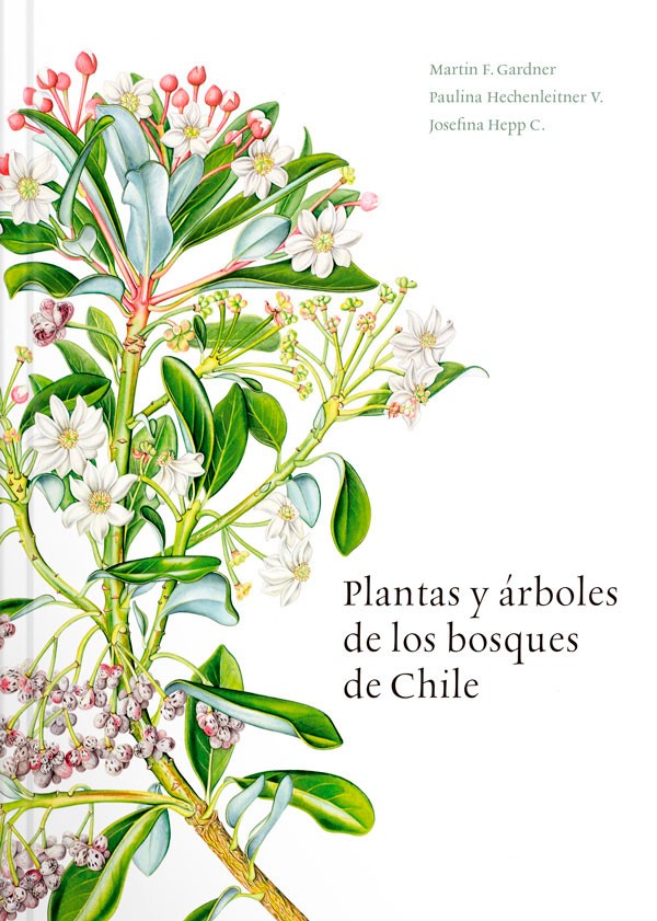 Plantas y árboles de los bosques de Chile