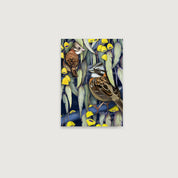 LAMINAS AVES DE CHILE - CHINCOLES