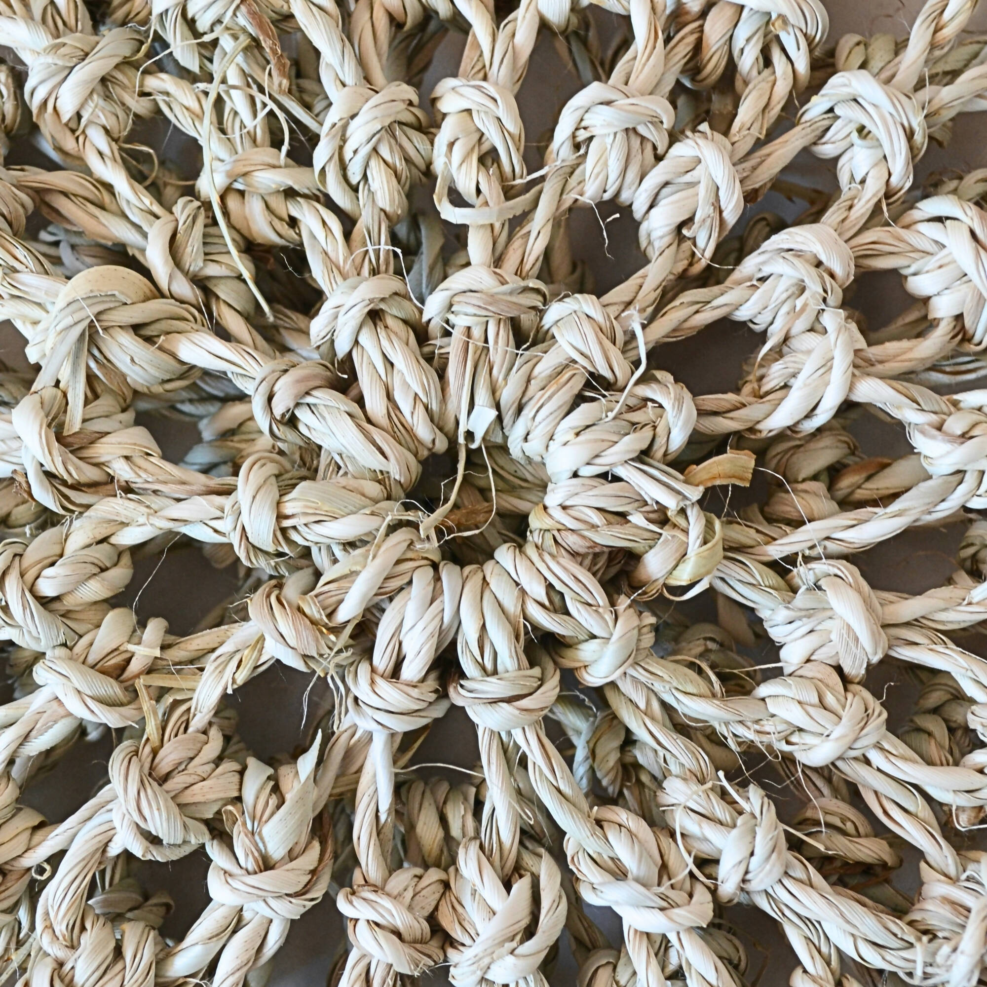 pilwa del Budi redonda natural mango natural