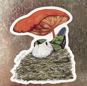 IMAN PICAFLOR, aves de Chile