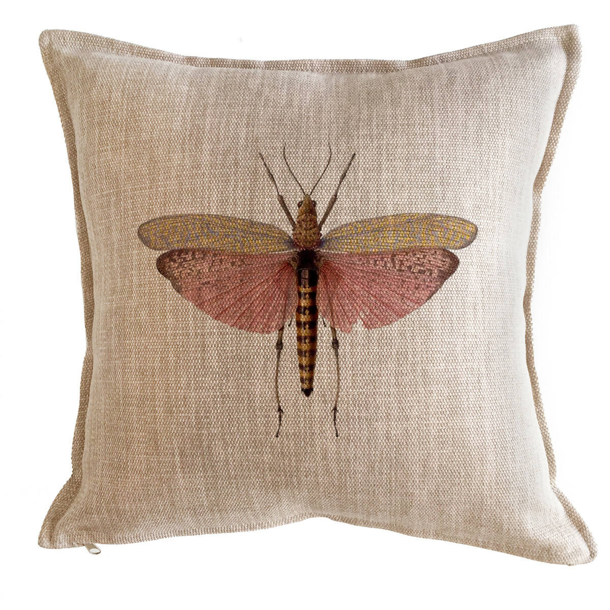 Cojín Antique Fly - 45 x 45