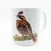 tazon grande chincol