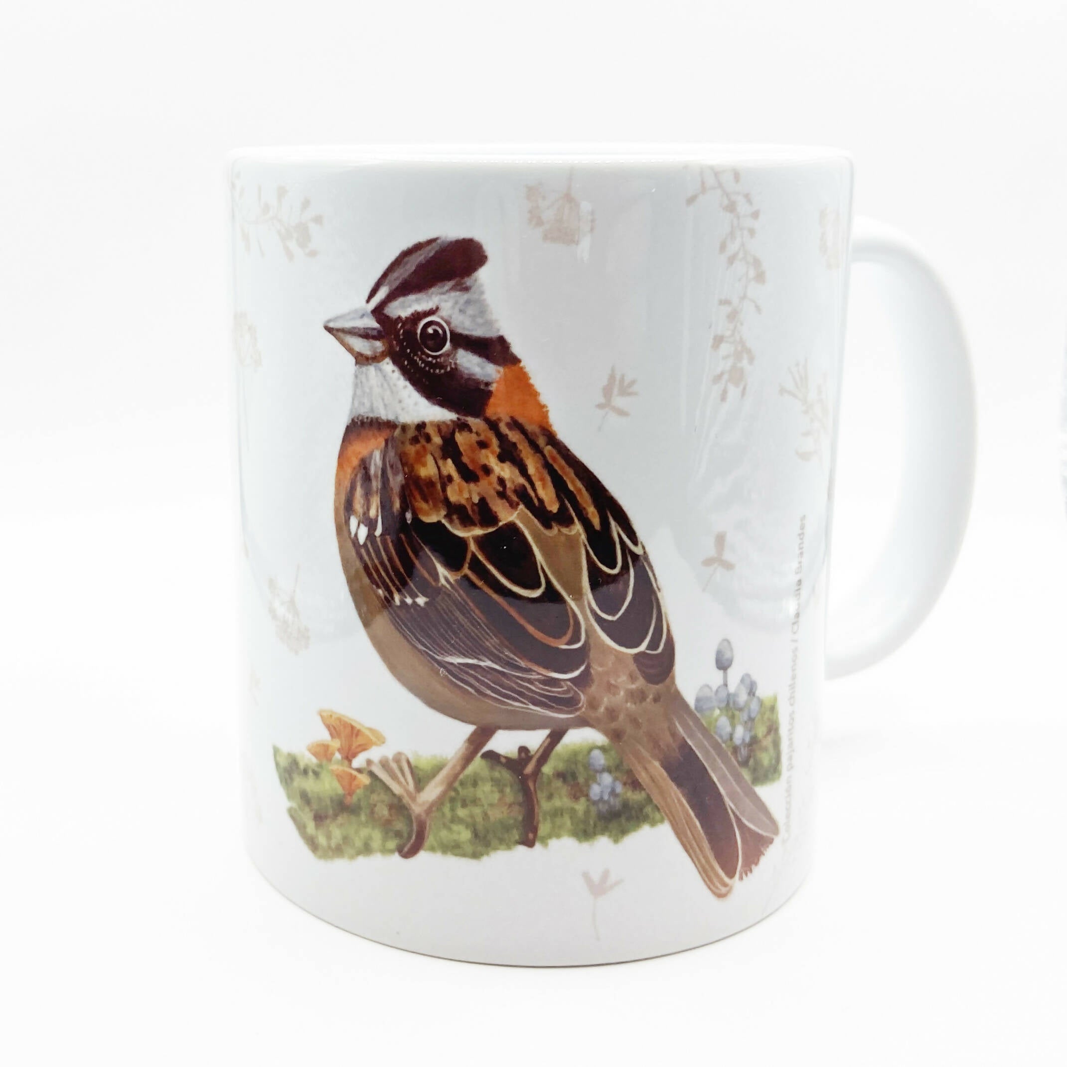 tazon grande chincol