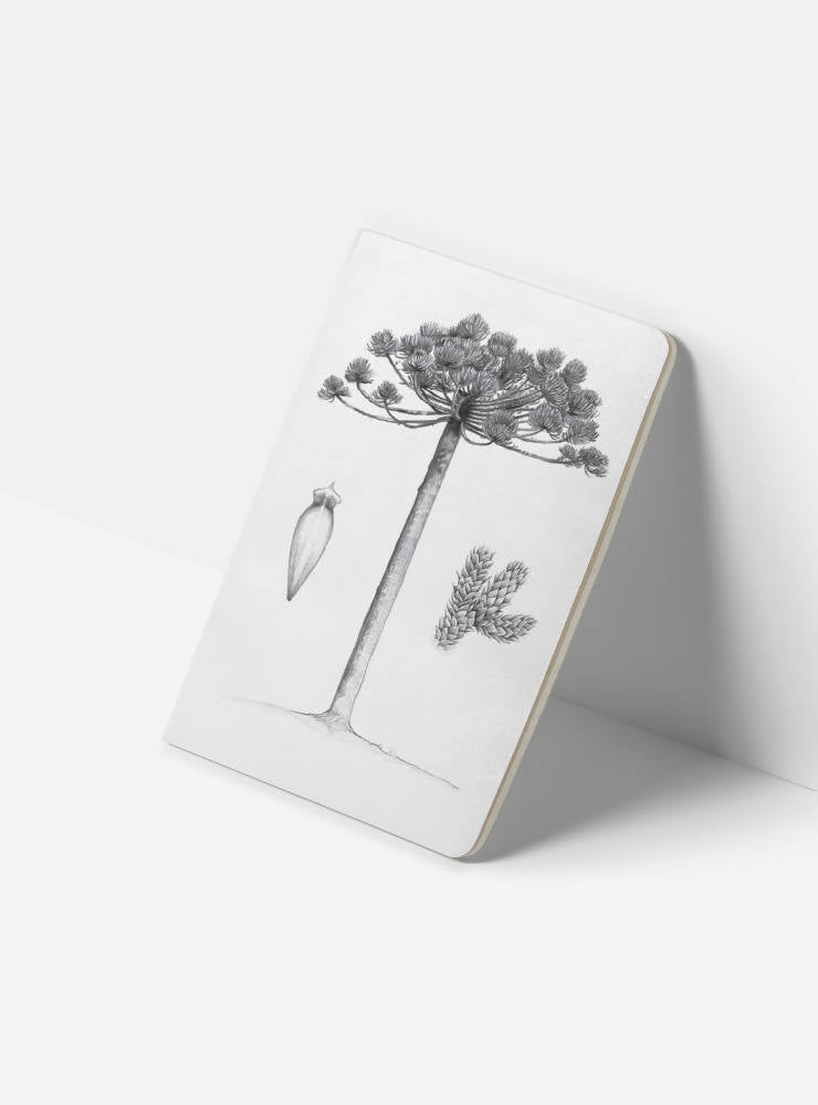 Libreta ARAUCARIA