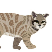 Cuadro gato andino 20x30cm