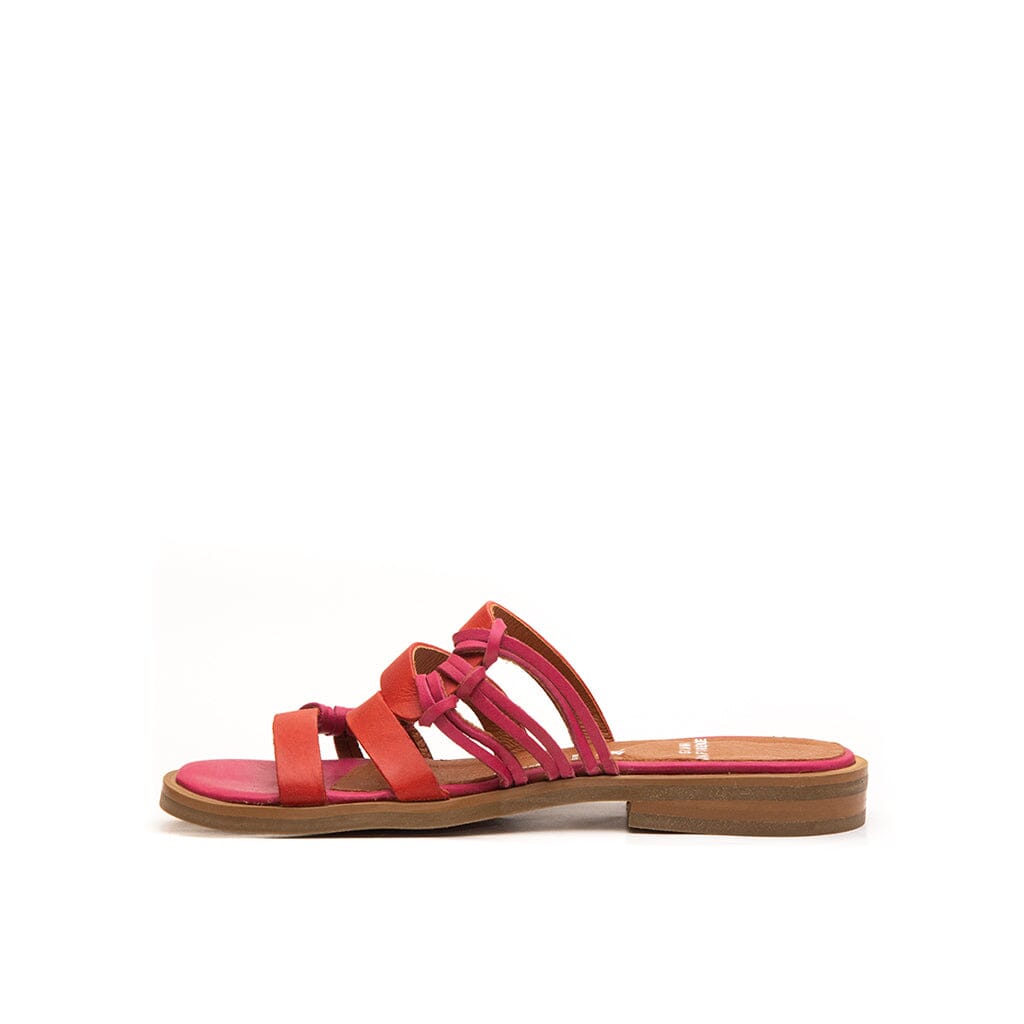 Sandalias FRESNO C2 SANDALIAS Giani Dafirenze