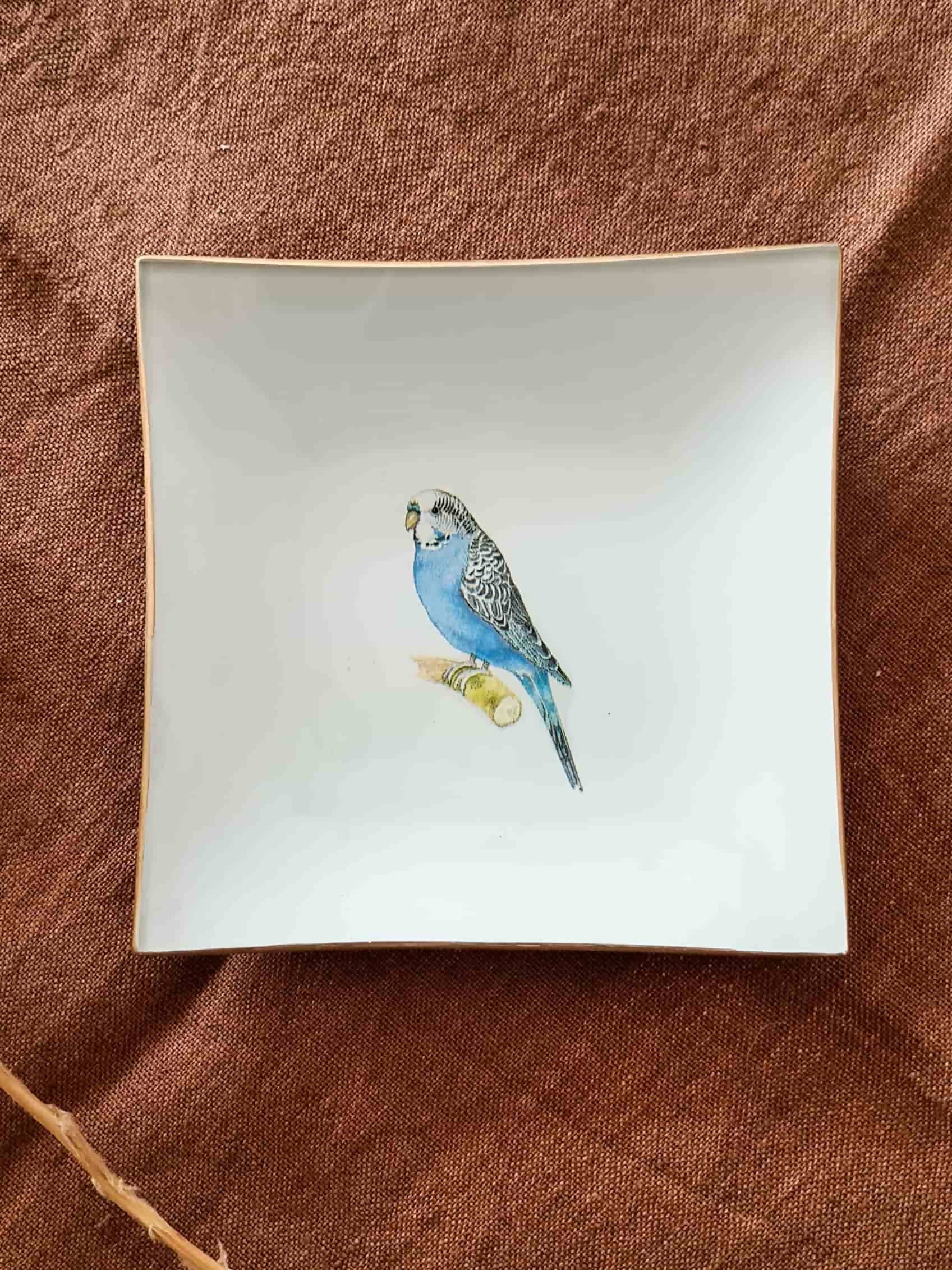 Plato Pan cuadrado variedades