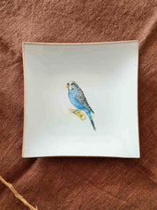 Plato Pan cuadrado variedades