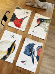 SET 4 INDIVIDUALES DISEÑO AVES I