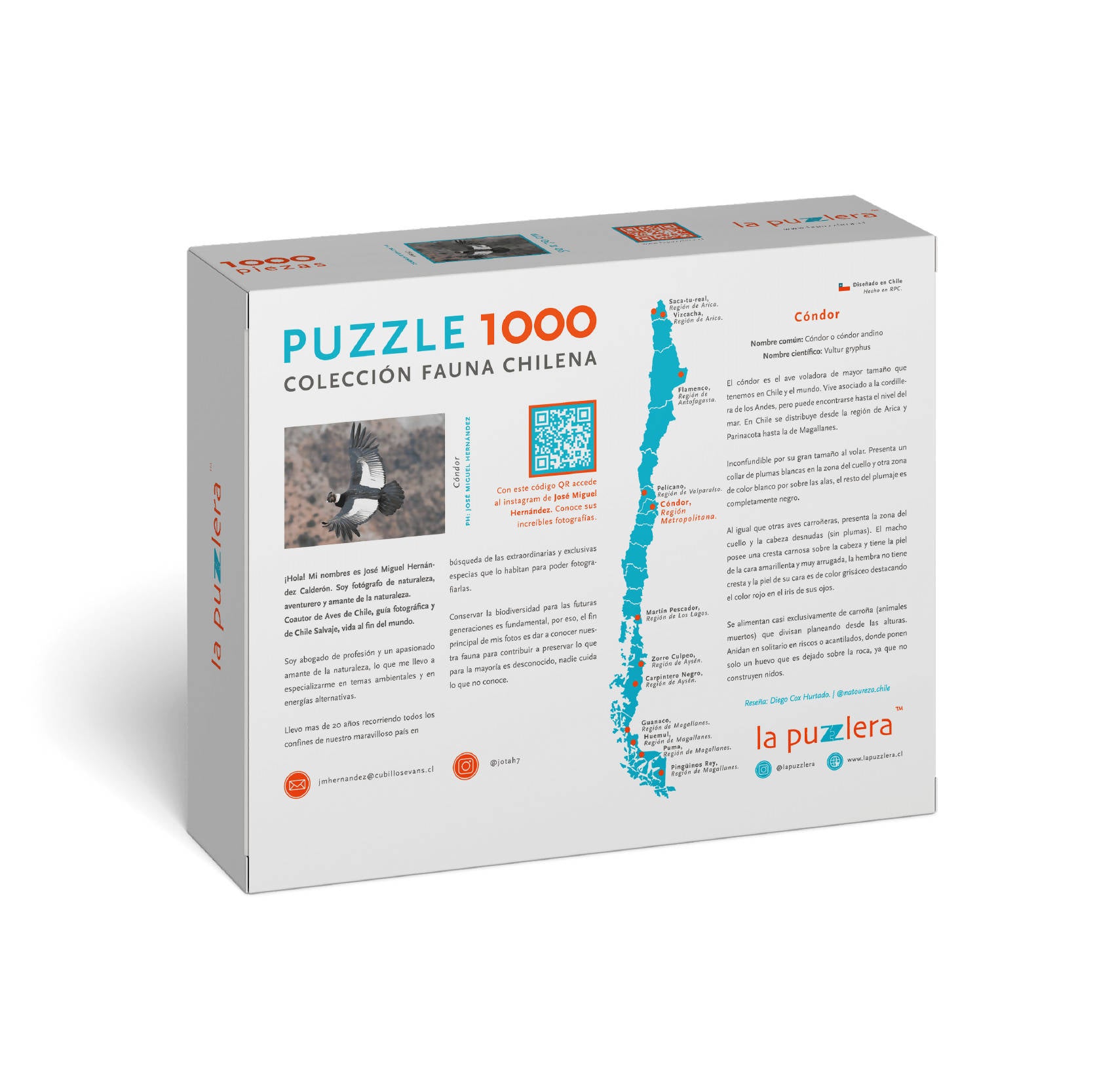 Puzzle Cóndor 1000 Piezas