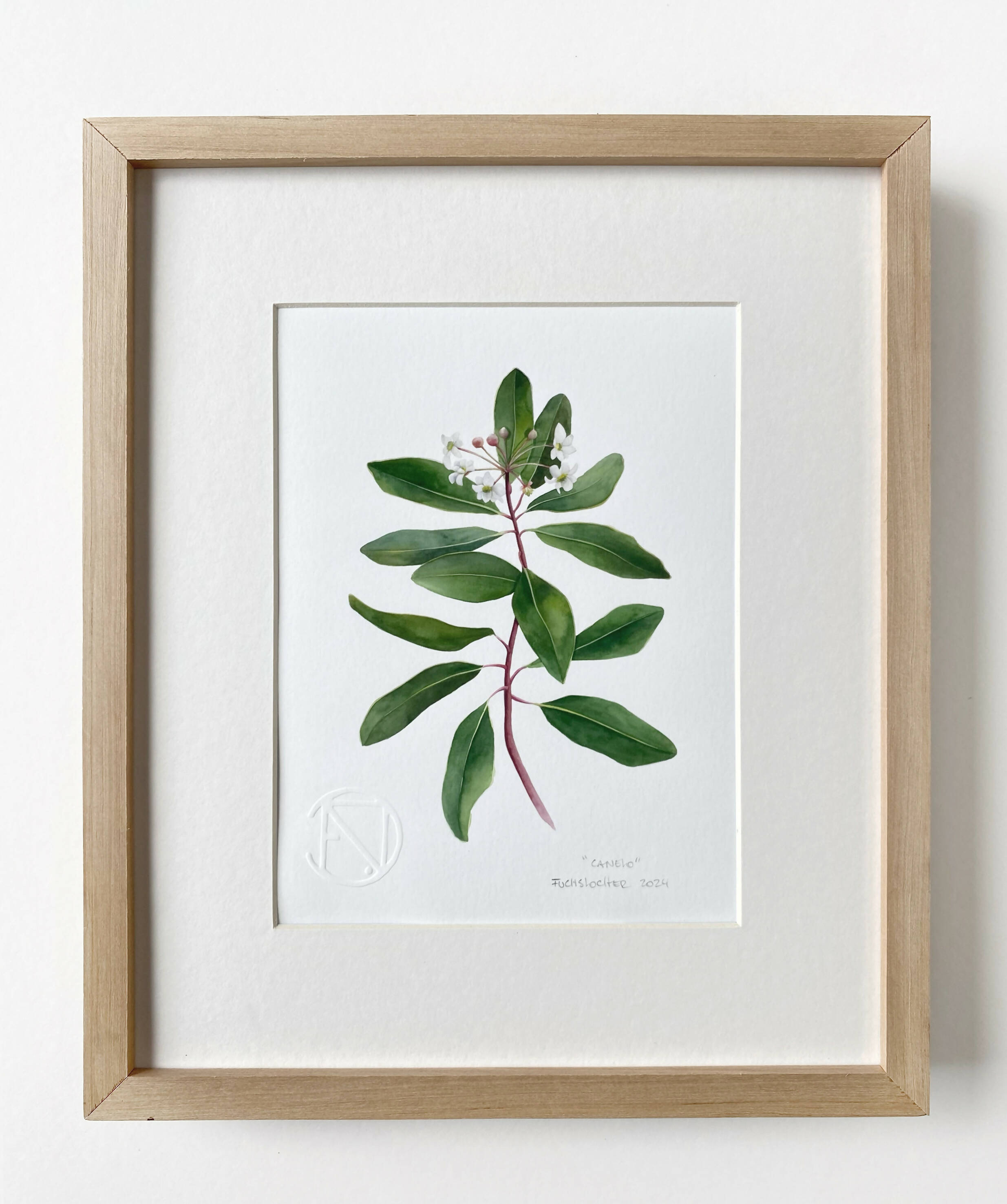 Canelo enmarcado