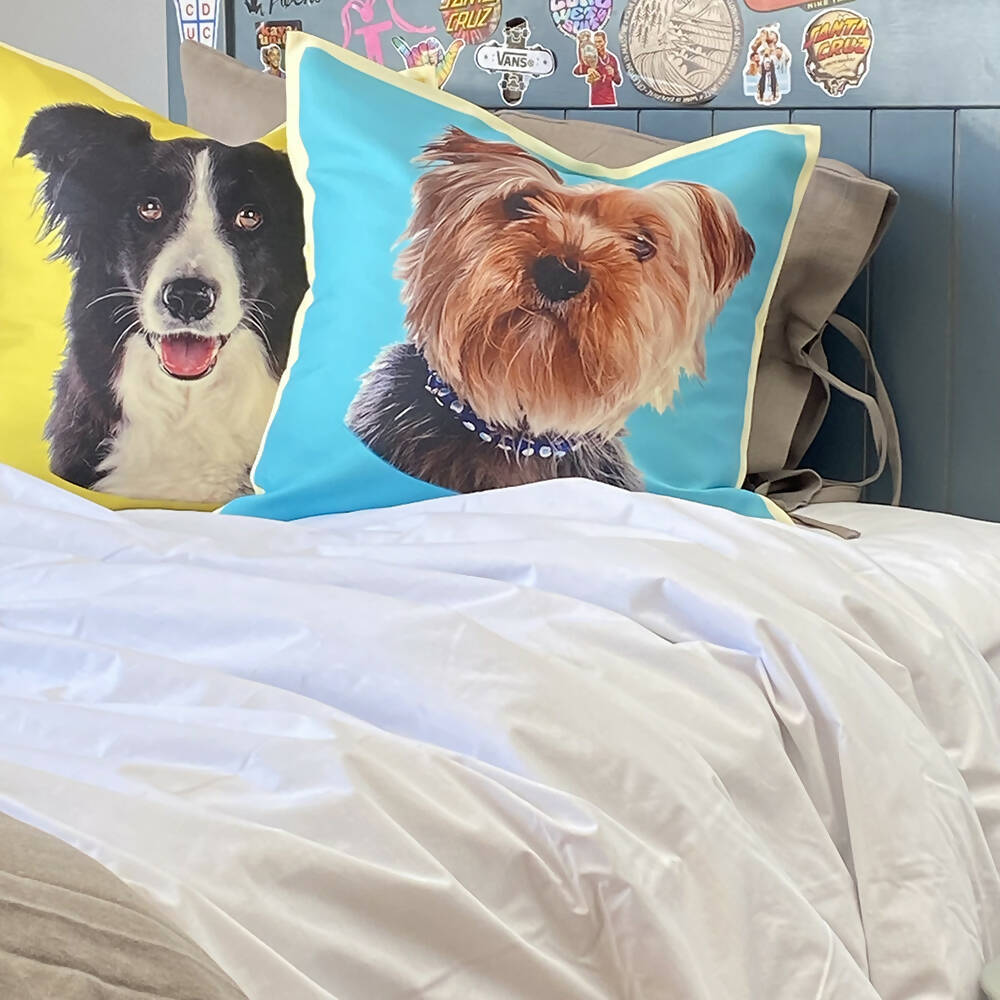 Cojín Color Border Collie, 45×45