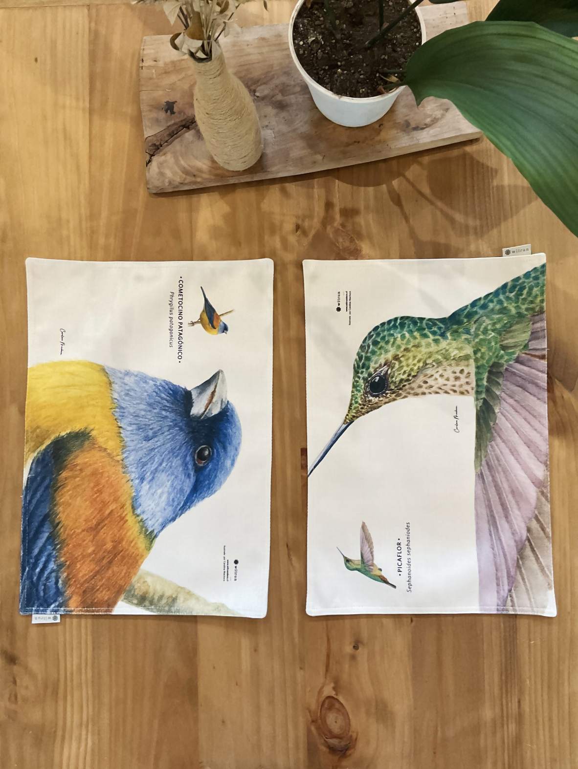 SET 2 INDIVIDUALES DISEÑO PICAFLOR Y COMETOCINO PATAGONICO