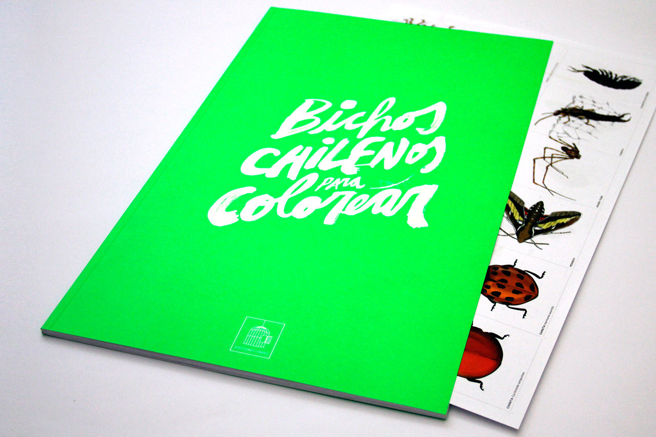 Libro Bichos chilenos para colorear