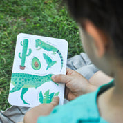 Set colores y formas