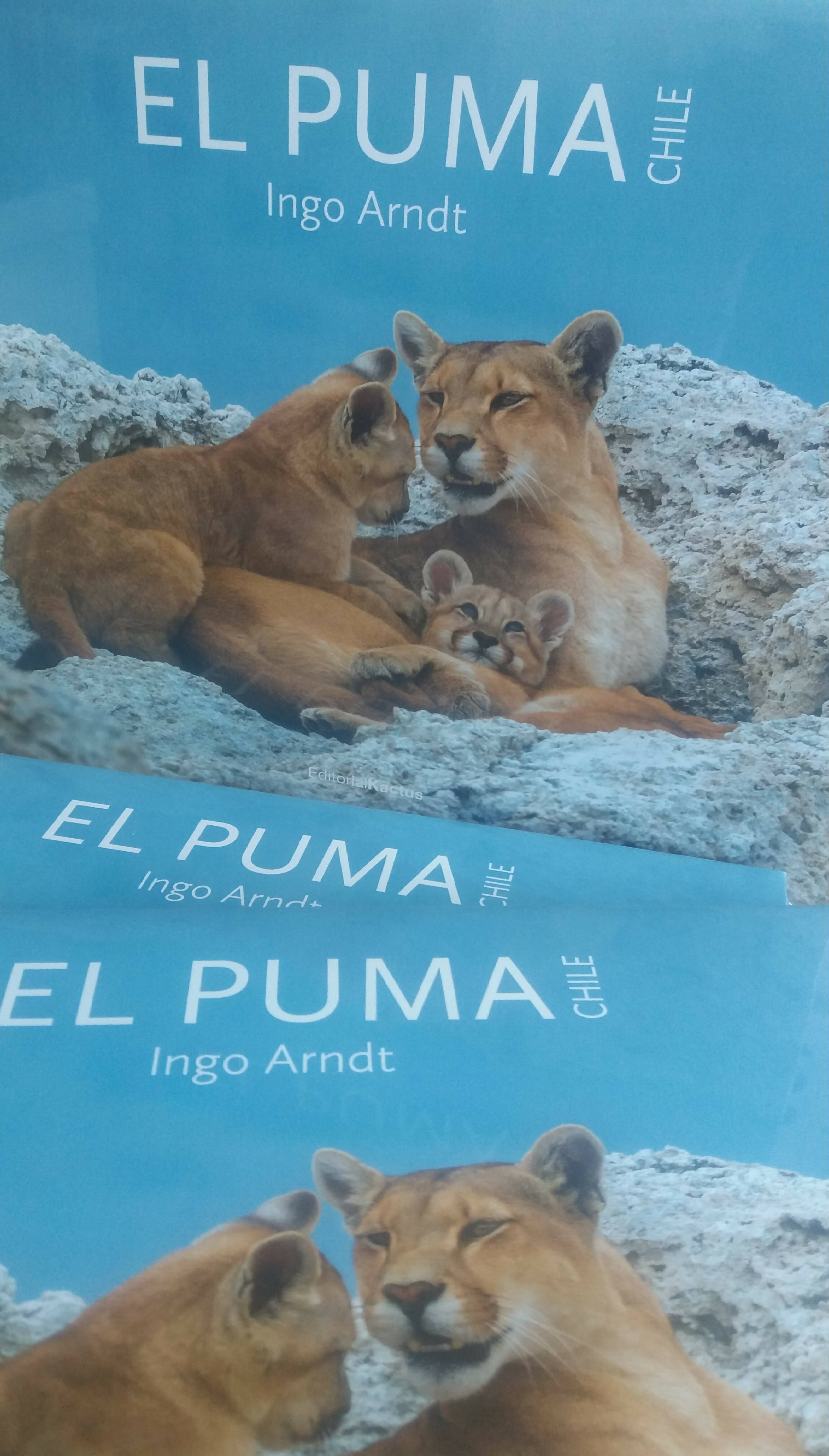 Pack 3 libros El Puma