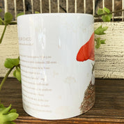 Tazón Picaflor, pajaritos chilenos