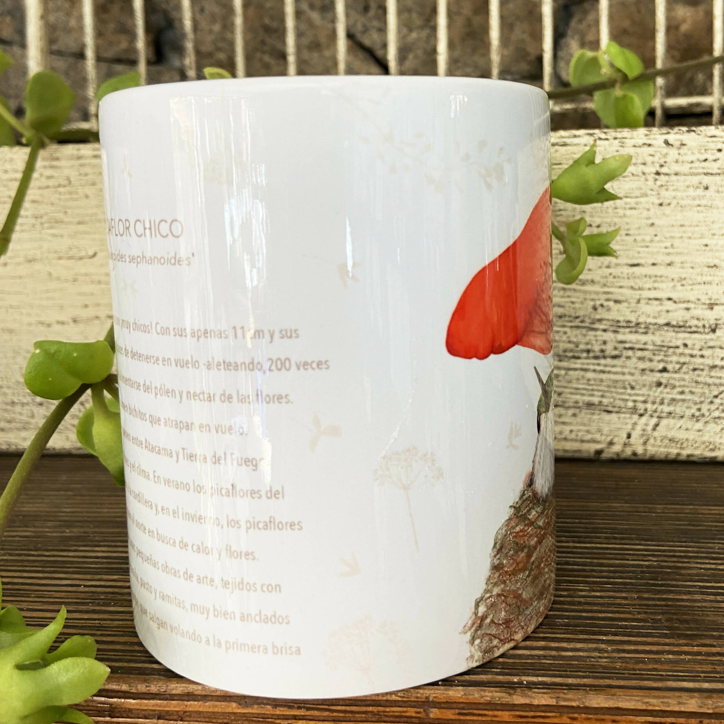 Tazón Picaflor, pajaritos chilenos